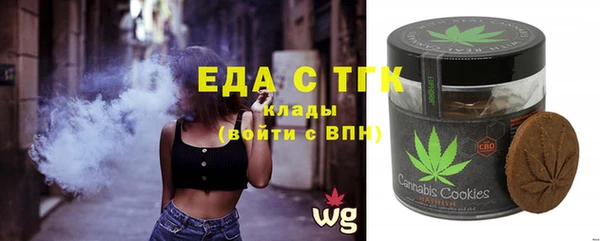 индика Абинск