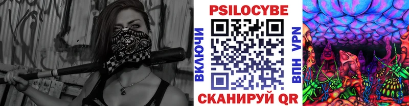 наркотики  дарк нет Telegram  Псилоцибиновые грибы Cubensis  Елабуга 