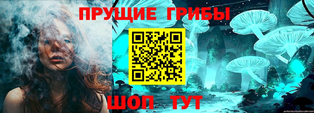 Галлюциногенные грибы Cubensis  Вход с VPN  Галлюциногенные грибы мицелий  Елабуга 