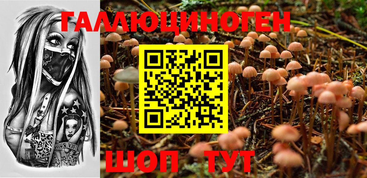 Галлюциногенные грибы Magic Shrooms Елабуга